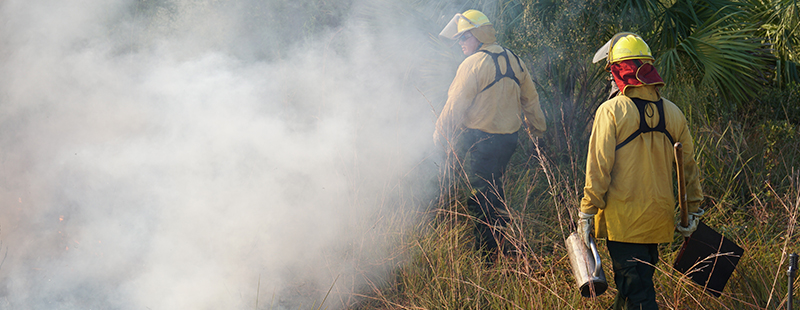 Prescribed Fire