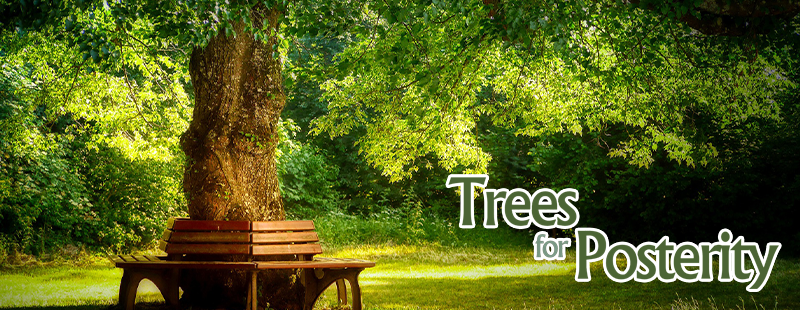 Trees-For-Posterity