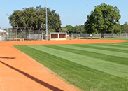 Harold Avenue Regional Park Softball Fields