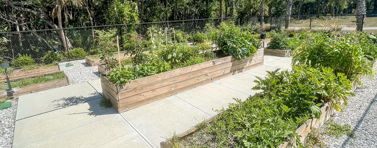 Centennial Park Community Garden