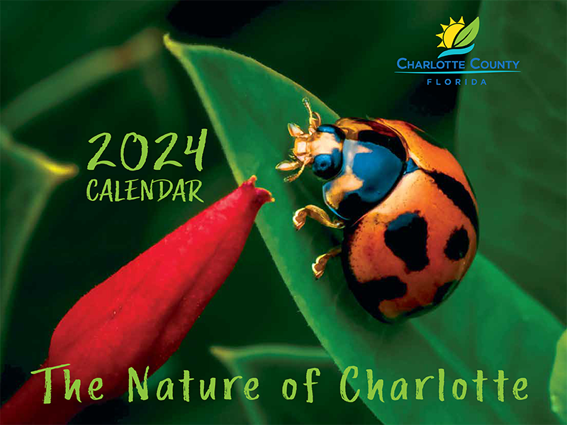 Charlotte County Fl School Calendar 2024 25 Ethel Janenna