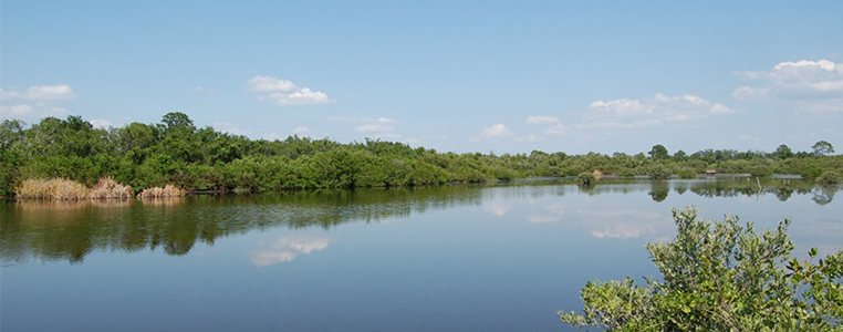 Amberjack Environmental Park