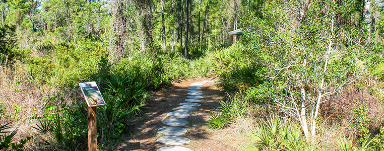 Cedar Point Environmental Park Trail