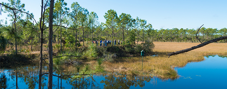 Charlotte Flatwoods Environmental Park