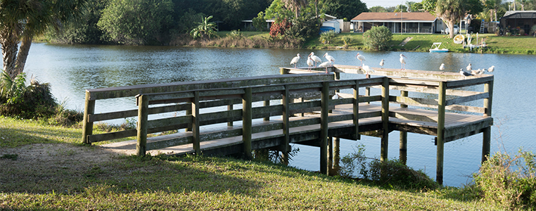 Lake Betty Fishing