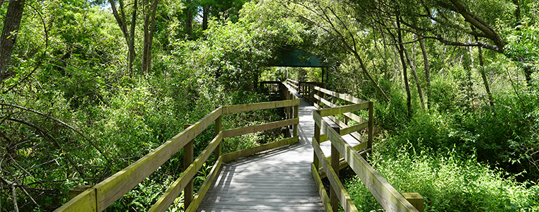 Larry Taylor Kiwanis Park Trial