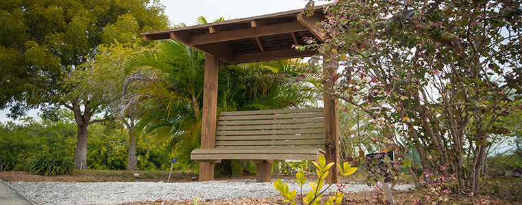 Learning Garden