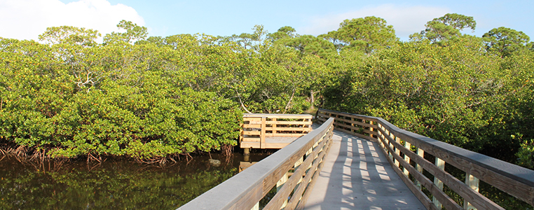 Oyster Creek Environmental Park Bridge