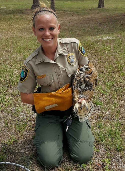 Officer Warram rescuing an injured owl