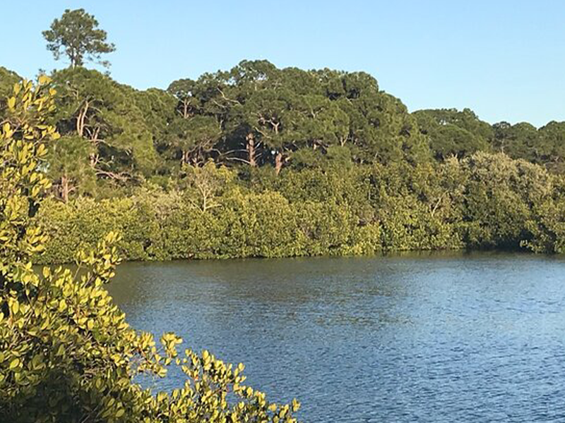 Oyster Creek Boardwalk Project Image