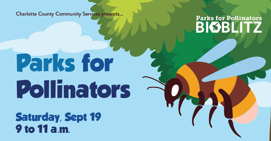 Charlotte County to Host First-Ever Parks for Pollinators BioBlitz, Seeks Community Exhibitors News Image
