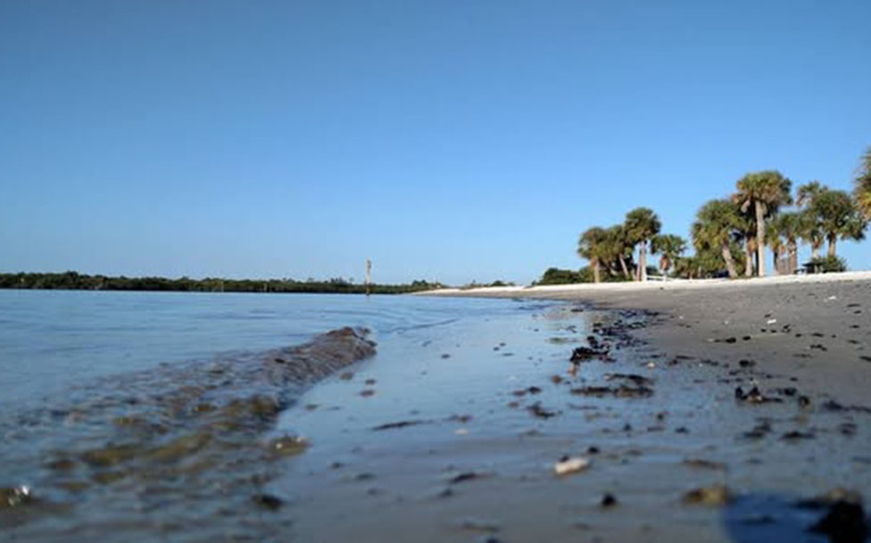 Port Charlotte Beach Park Reopening Plan Image